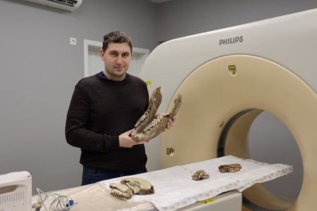 Ученые впервые провели исследования челюстей шерстистого носорога на компьютерном томографе