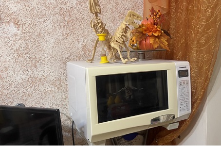 Бытовые приборы в доме загрязняют воздух