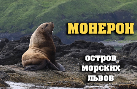 Монерон. Остров морских львов.