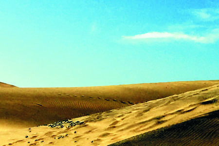 Пустыня Сахара в будущем станет дождливой