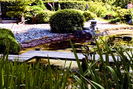 Простой мох выжил в космосе девять месяцев