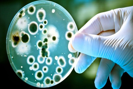 Как сделать стареющие клетки более молодыми